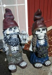 gnomes Meme Template