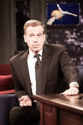 Brian Williams Remembers Meme Template