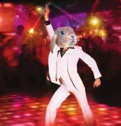 DISCO BUNNY Meme Template