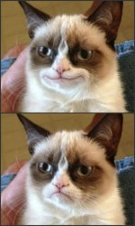 Happy Grumpy cat photoshop Meme Template