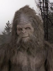 Sasquatch Meme Template