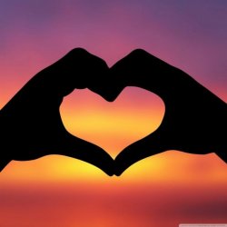 Equality For Everyone 1 Meme Template