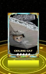 Intergalatic Ceiling Cat Meme Template