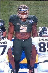 Llama Shawn oakman  Meme Template