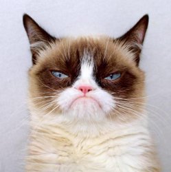 Grumpy Cat Outside Meme Template