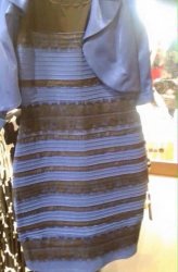 What color is the dress Meme Template