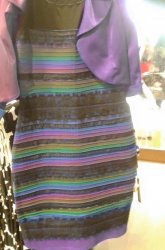 Pride dress Meme Template