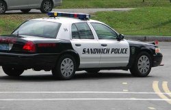 Sandwich Police Meme Template