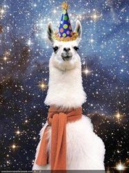 Drama Llama Birthday Meme Template
