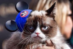 Grumpy Cat Mouse Ears Meme Template