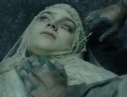 Accidental selfie frodo Meme Template