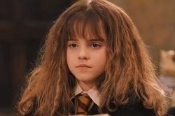 Harry Potter - Miss Granger is NOT amused Meme Template