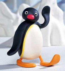 pingu  Meme Template