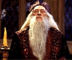 dumbledore Meme Template