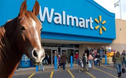 Walmart Horse Meme Template