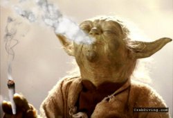 Stoned yoda Meme Template