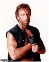 chuck norris terminator Meme Template