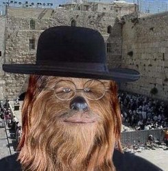 Jewbacca Meme Template