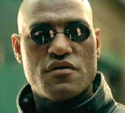 morpheus Meme Template