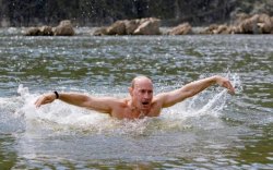Putin swimming Meme Template