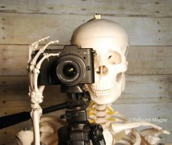 skeleton with camera  Meme Template