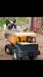 Grumpy Cat - Tractor Meme Template