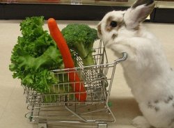 Bunny shopping Meme Template