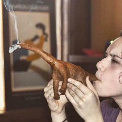 Cigar dinosaur Meme Template