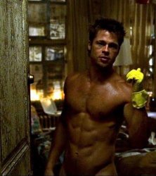 Brad Pitt Meme Template