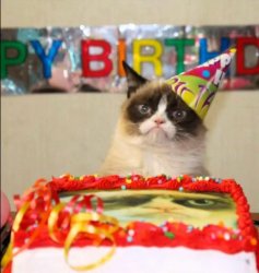 grumpy cat birthday  Meme Template