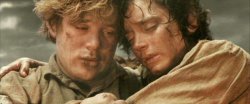 frodo and sam after destroying the ring Meme Template