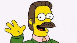 ned flanders Meme Template