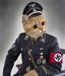 Nazi cat in uniform Meme Template