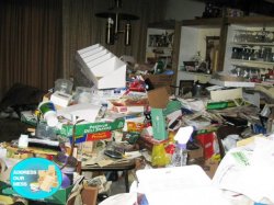 Hoarder Meme Template