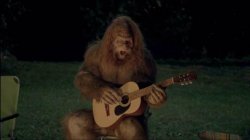 Sasquatch Meme Template