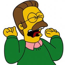 Ned Flanders Shouting Meme Template