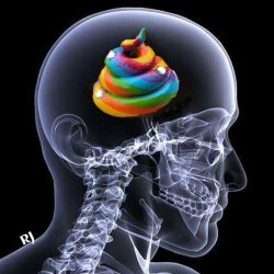 Brain X-Ray Meme Template
