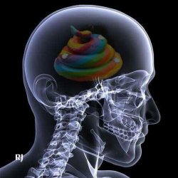 Brain X-Ray Meme Template