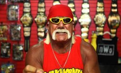 hulk hogan Meme Template