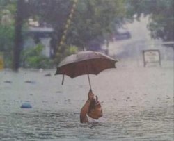 umbrella Meme Template