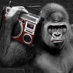 gorilla radio Meme Template
