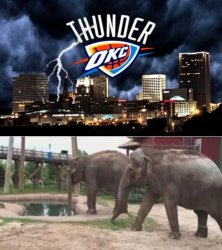 Seattle OKC Meme Template