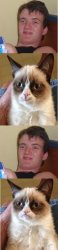 10guy Grumpy Cat Meme Template