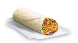 Burrito Meme Template