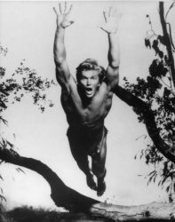Denny Miller Leaping Tarzan Happy Birthday Meme Template