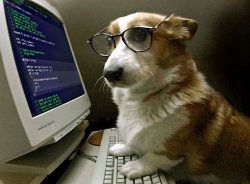 tech_corgi Meme Template