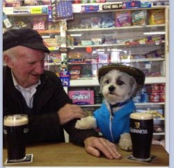 Irish Dog Pub Meme Template