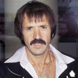 Sonny bono Meme Template