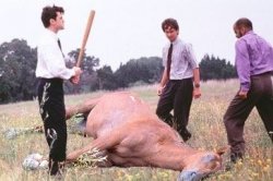 Office Space Dead Horse Beating Meme Template
