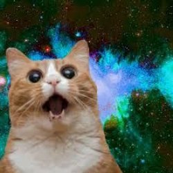 Cat in space Meme Template